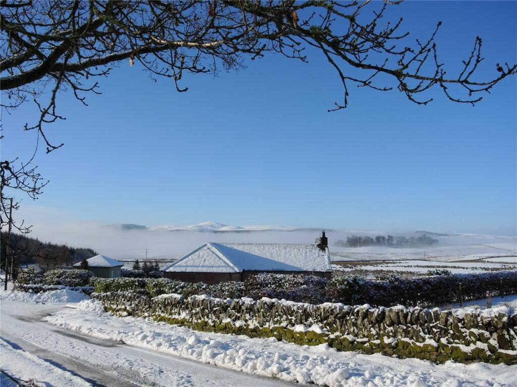 Winter Scene