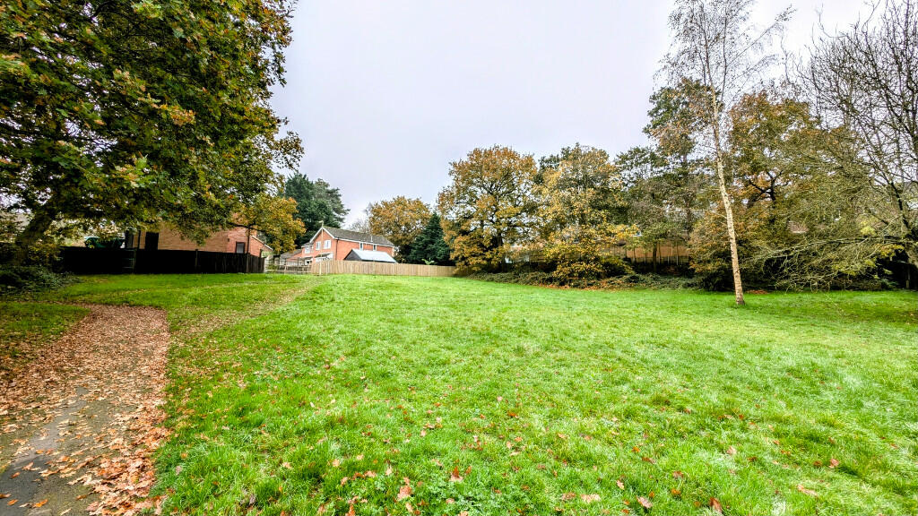 View over green