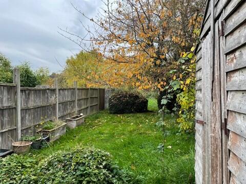 Garden T202511061501.jpg