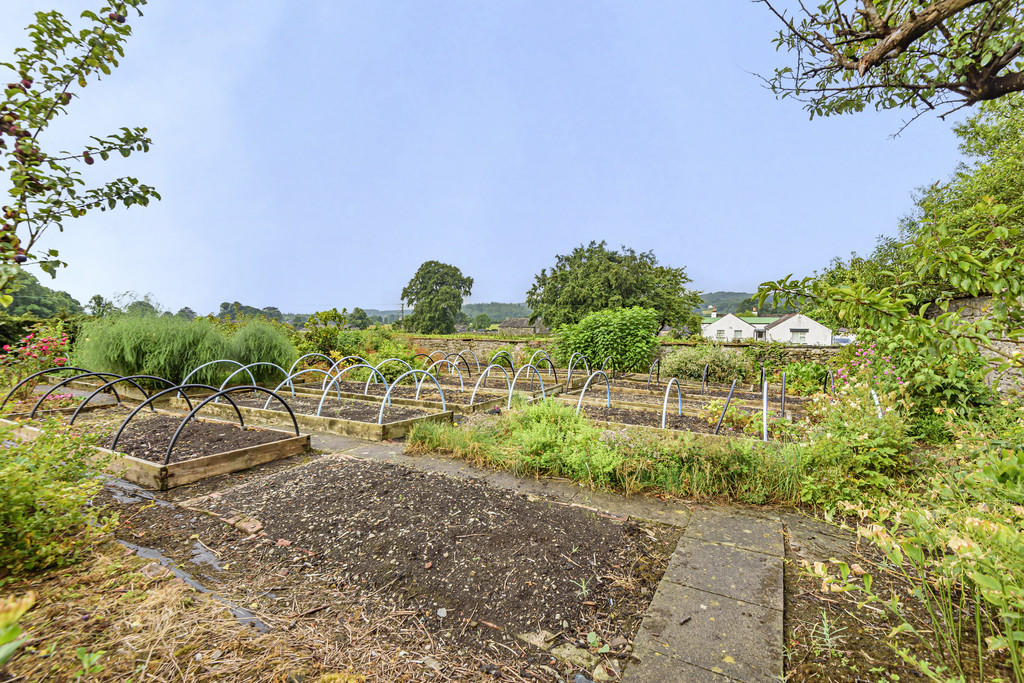 Vegetable Garden