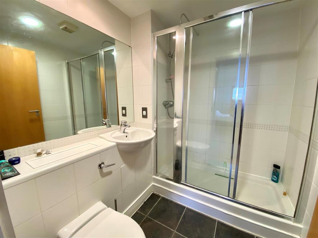 PALOMAEN-SUITE.jpg