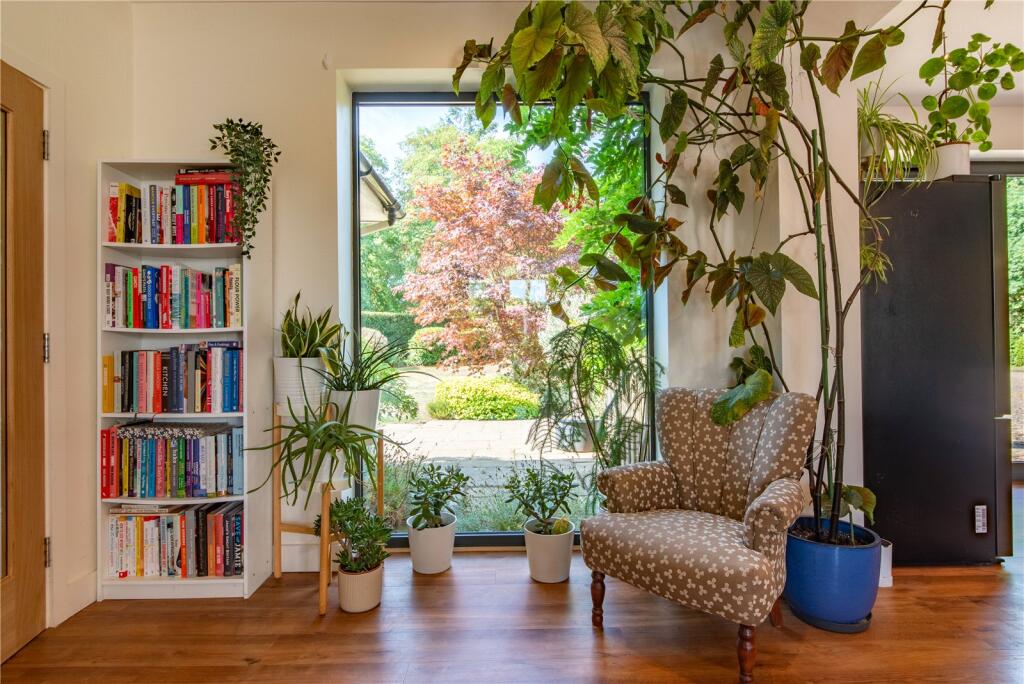 Picture Windows