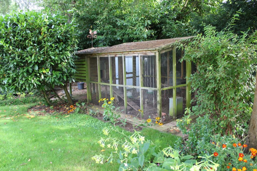 Chicken Coup