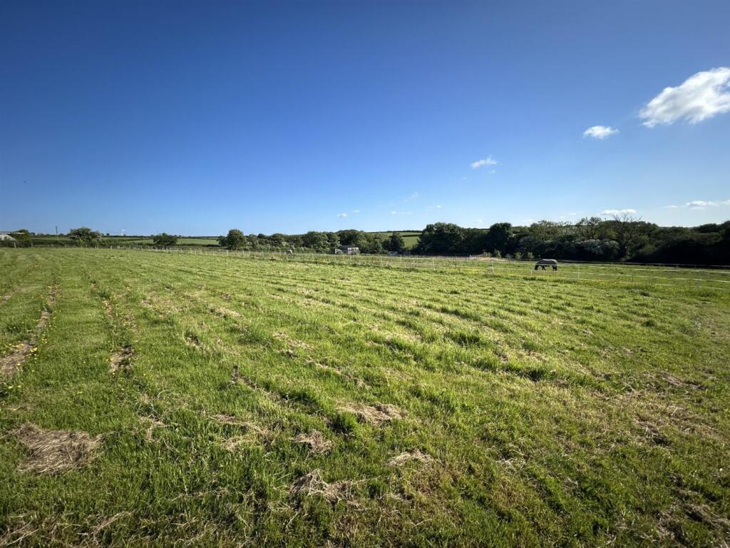 Field.jpg