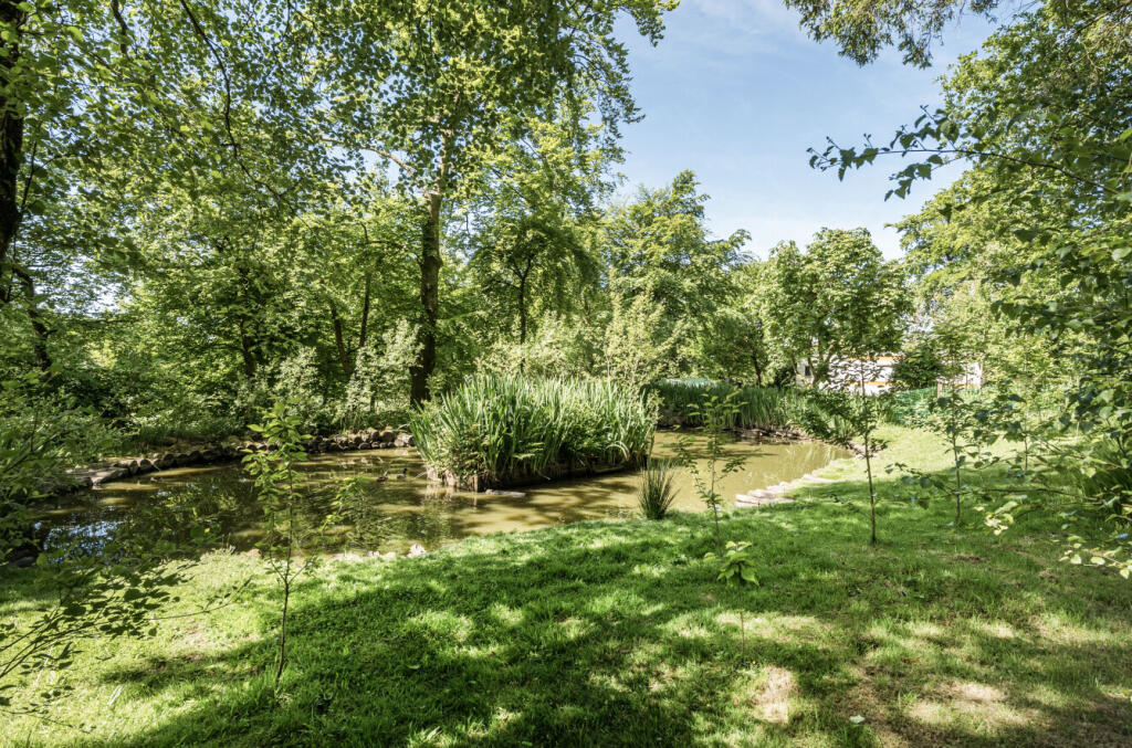 Duck Pond/Garden
