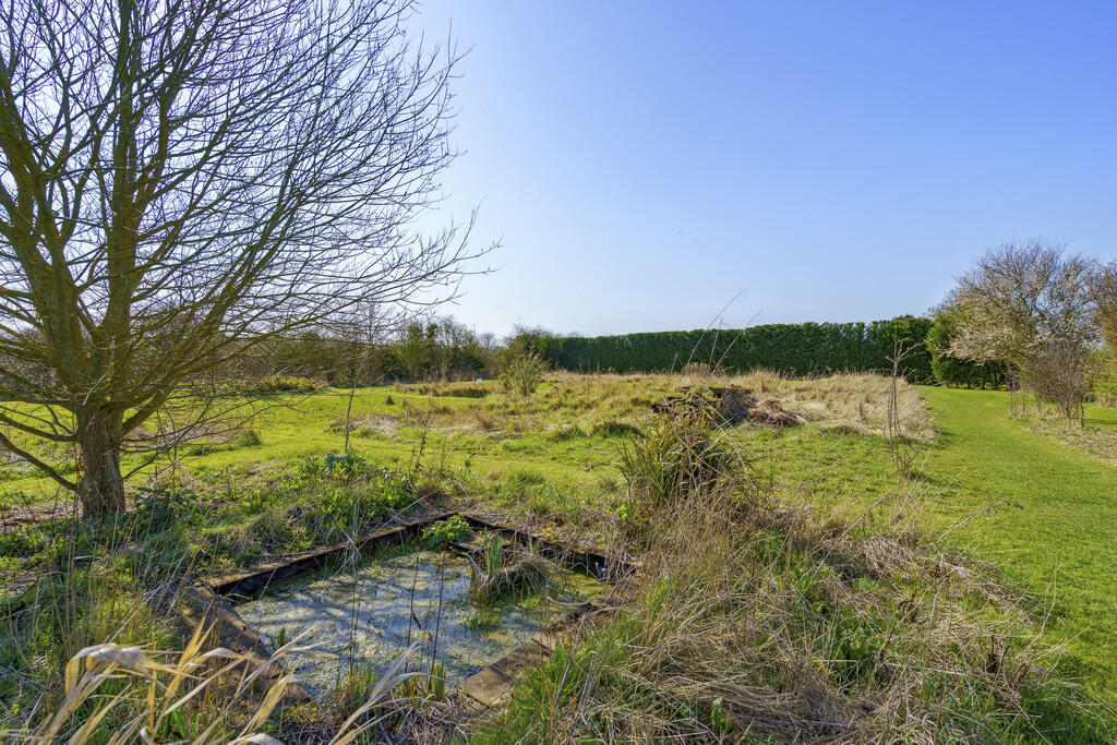 89038_The Orchard...