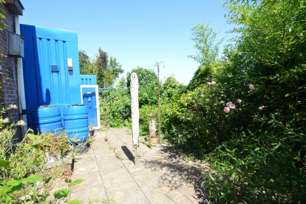 Back Garden