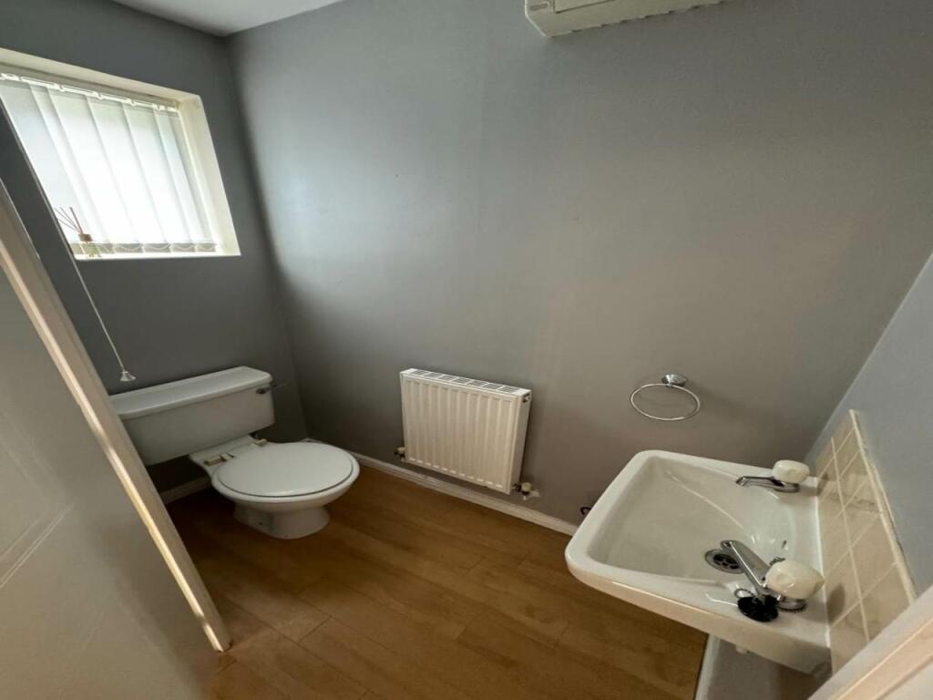 pic 7