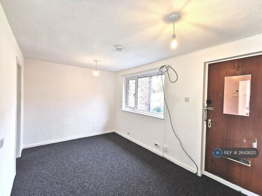 Living / Bedroom Area