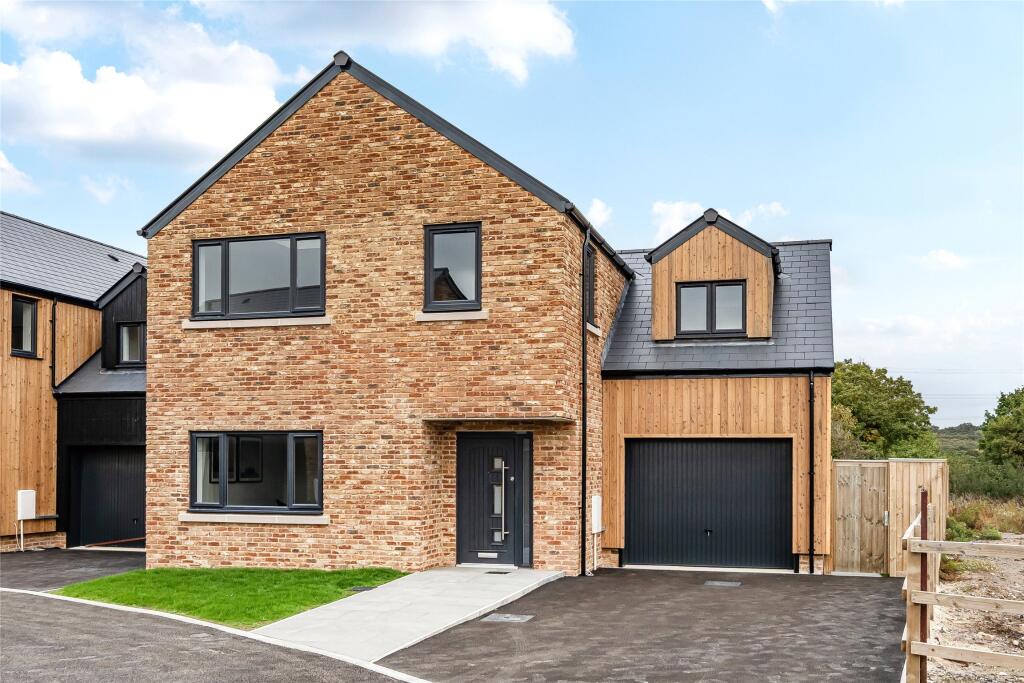 Plot 8