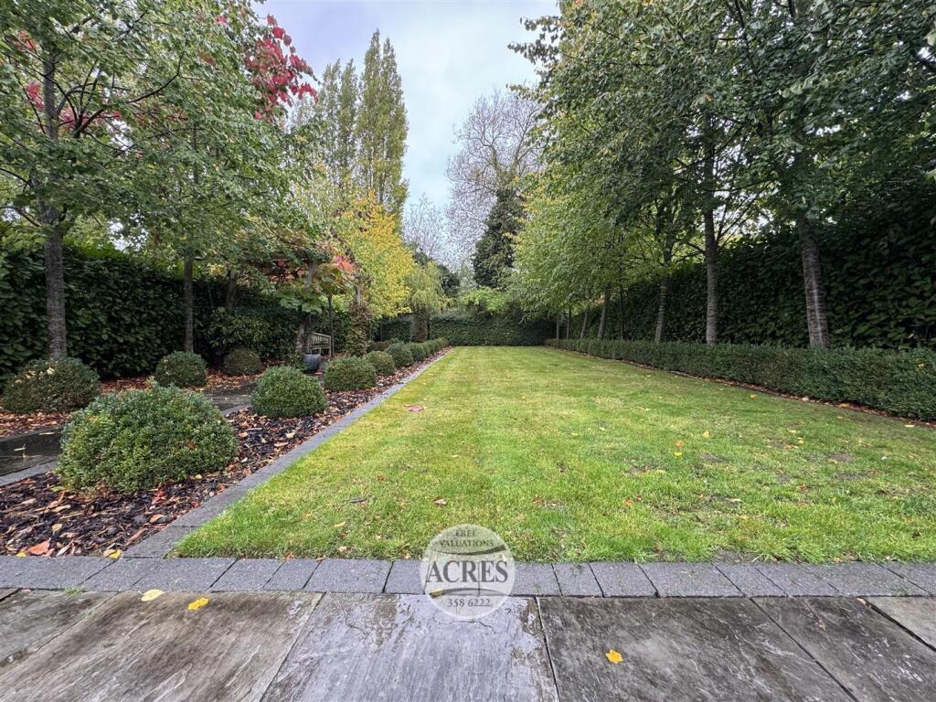 IMG_8357 (Large).jpg