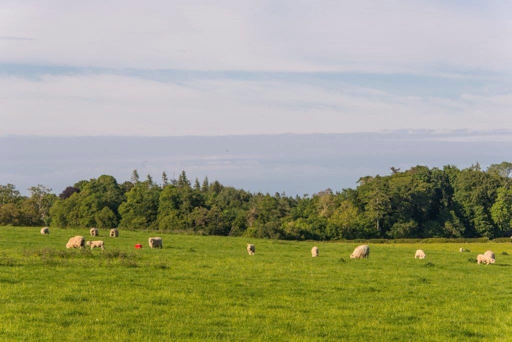 Lot 1 Land