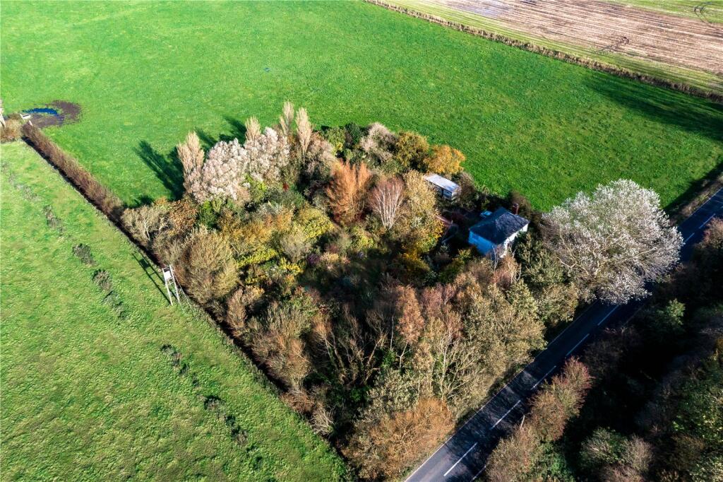 Aerial Shot