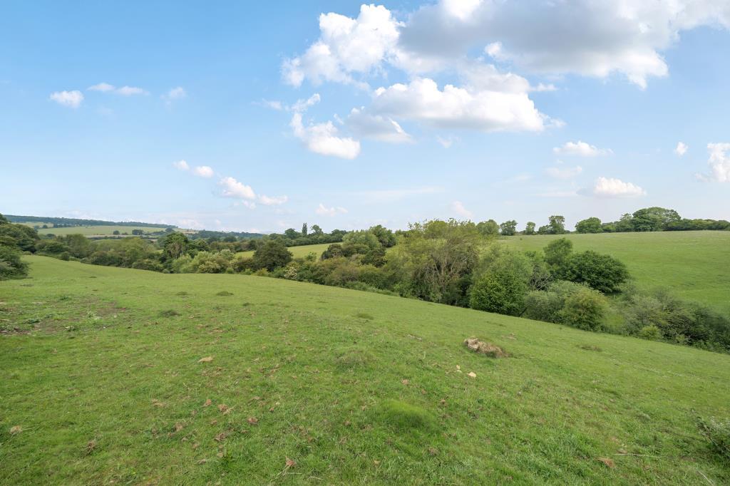 View from Rear Garden