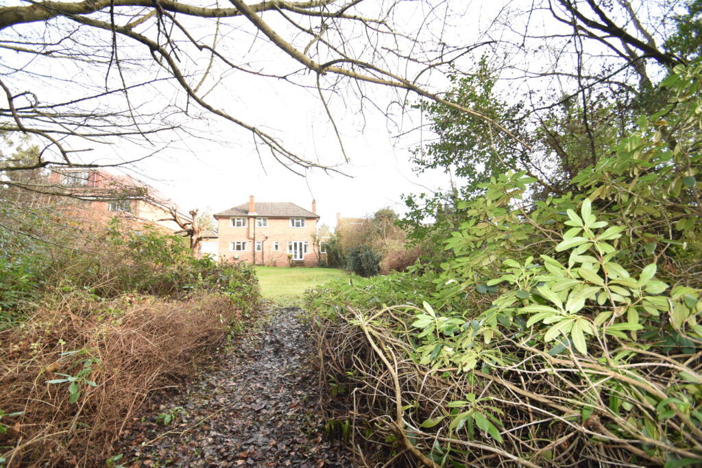 Woodland to House
