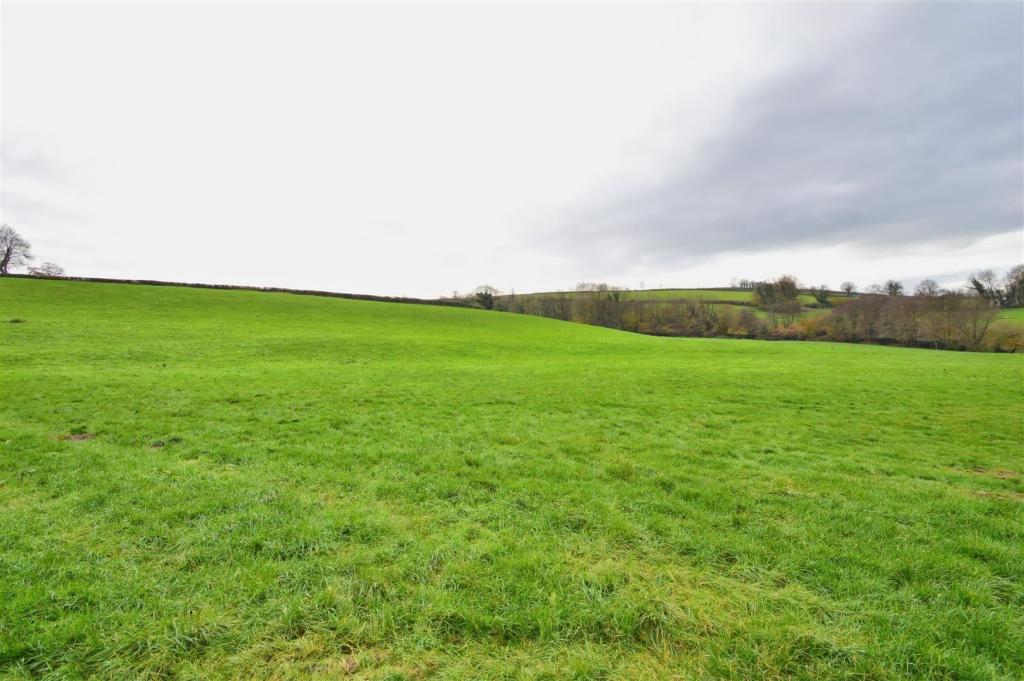 Grassland