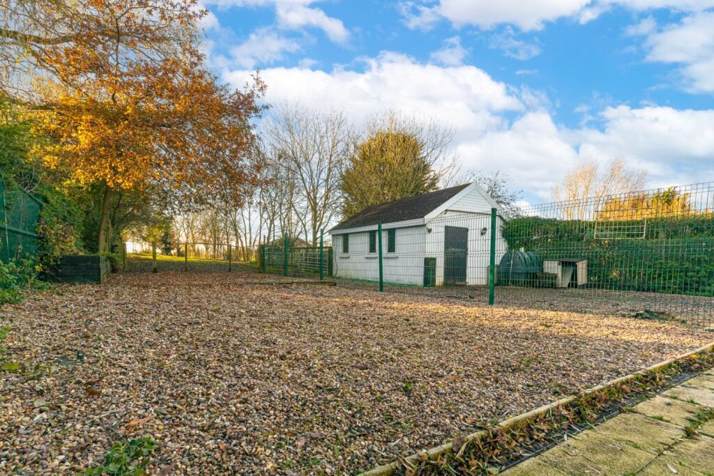 Rear garden 2
