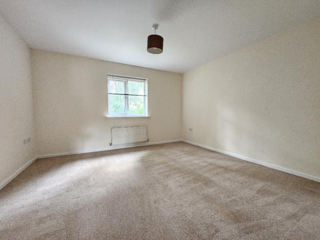 20240926_135426_resized_lge