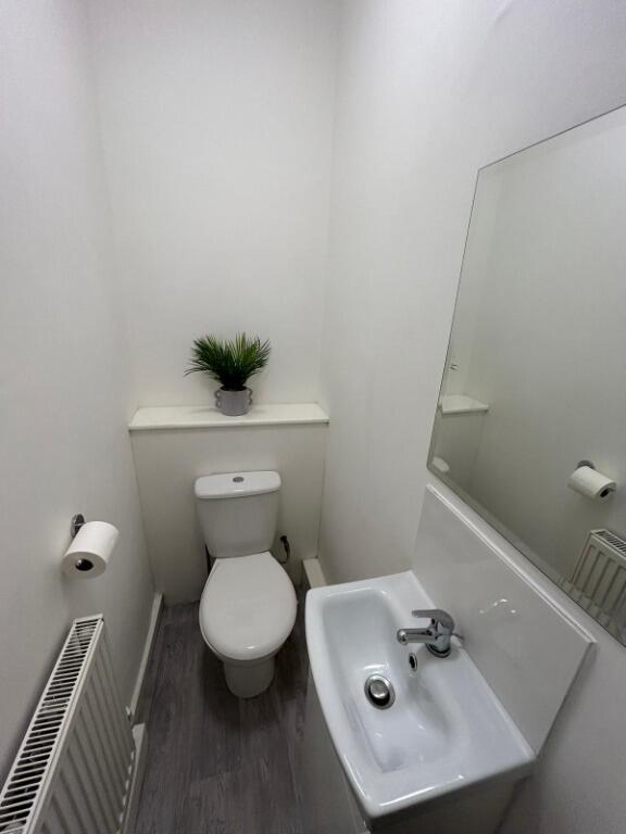 10_17005747597699.jp