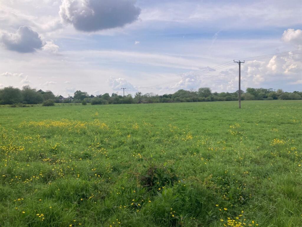 WhatsApp Image 2024-08-08 at 17.17.32.jpeg