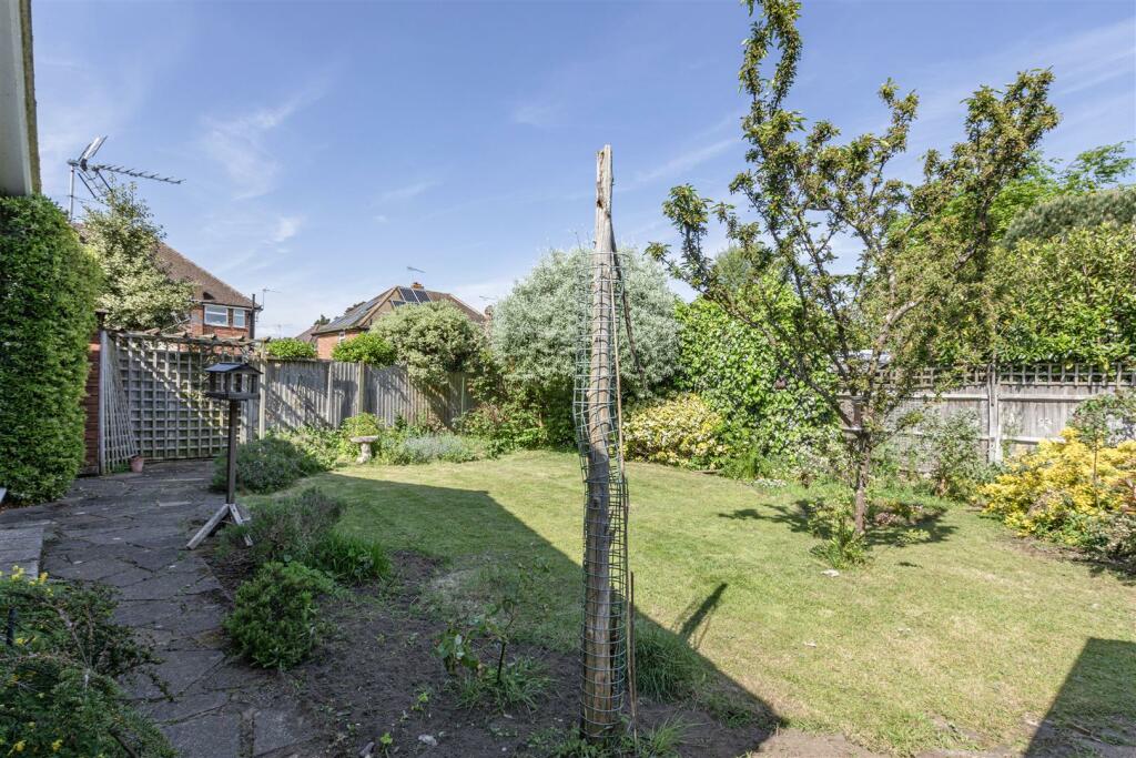 garden 2.jpg