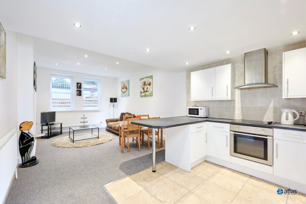 Living / Kitchen Area