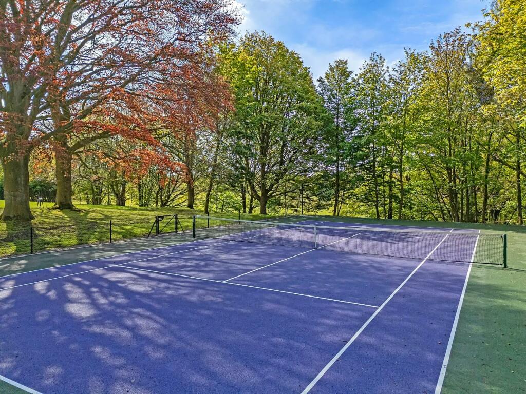 DJI_20240426102539_0342_D copy.jpg