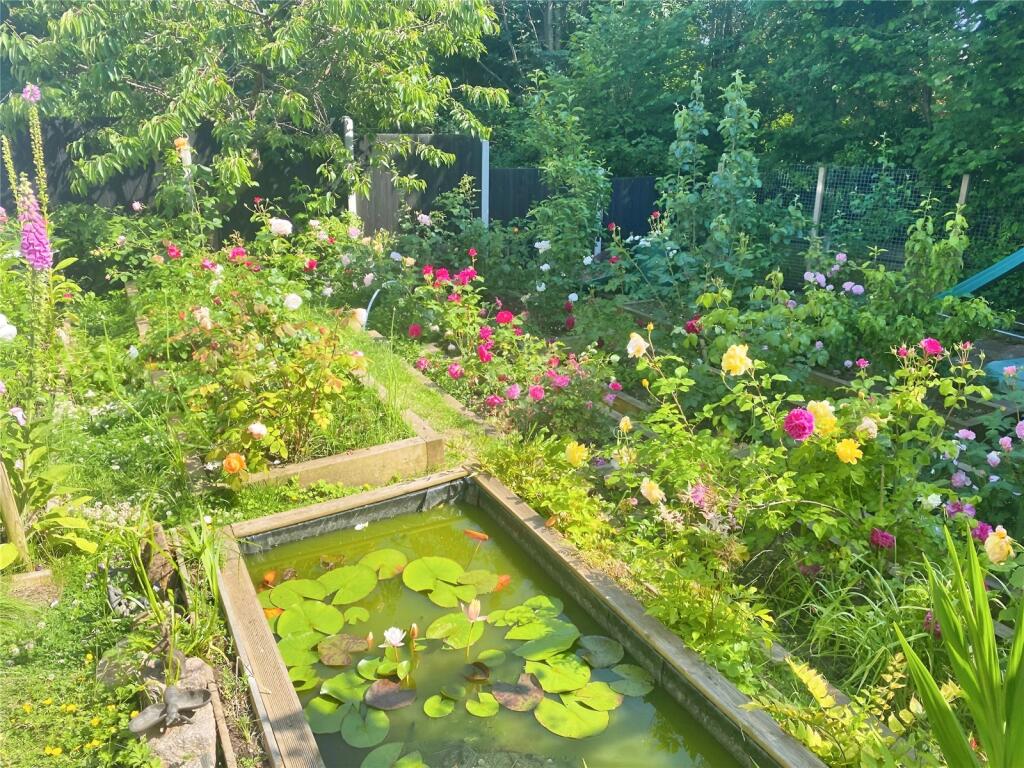 Garden (Summer)