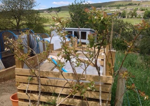 Garden and Shed