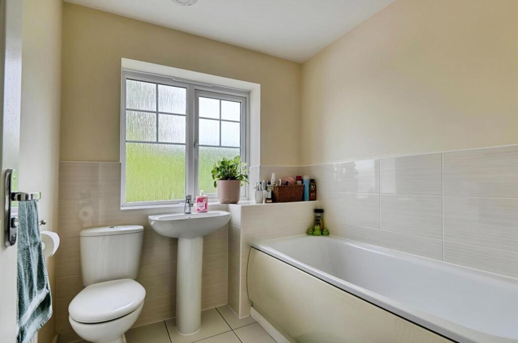 user_edited_photo-7c4050e3_user-edited-80eccb1b-62