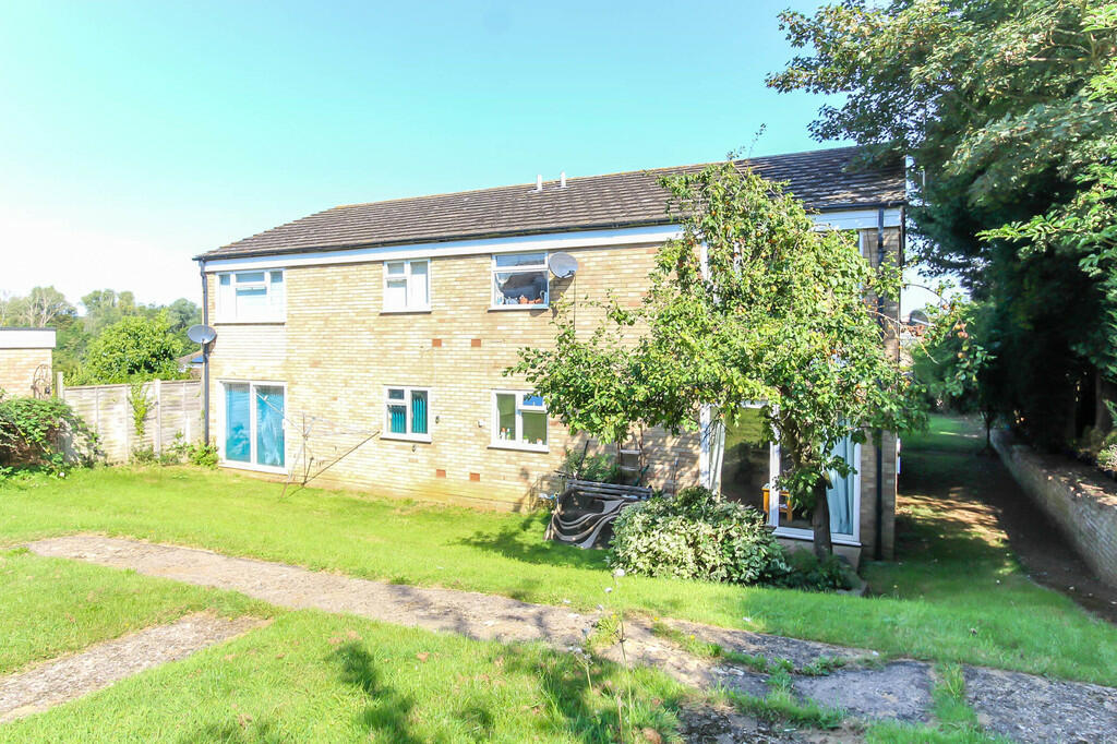 Rear Aspect