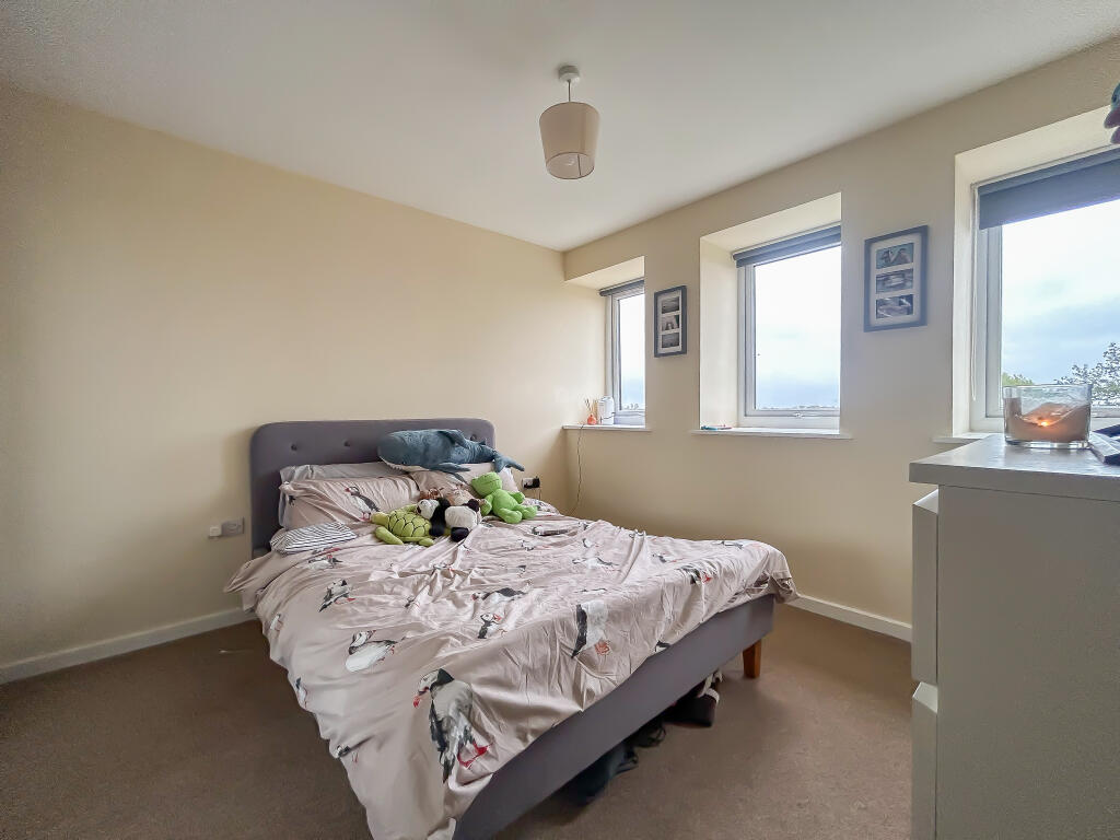 IMG 7117 T202510210947.jpg