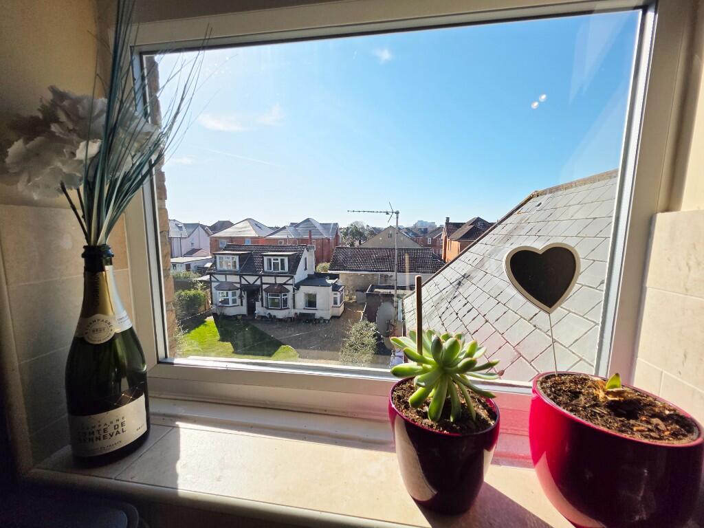 Roof Top Outlook