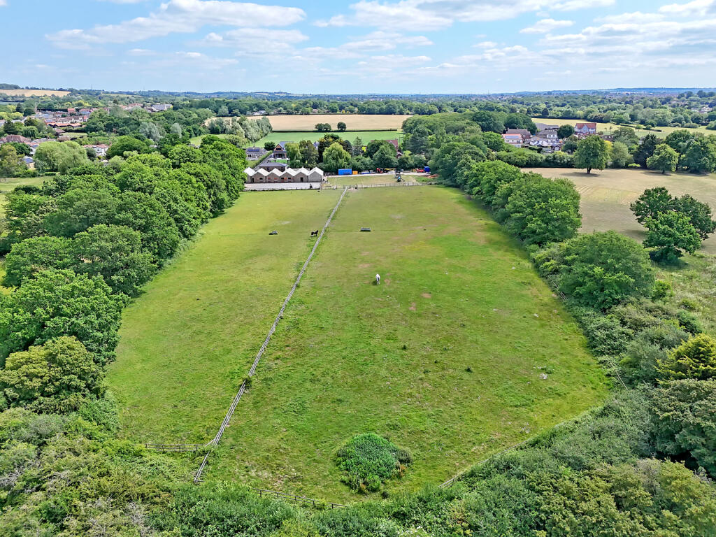 Grounds