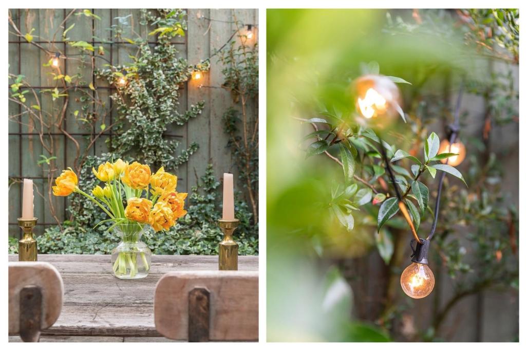 Garden (2).jpg