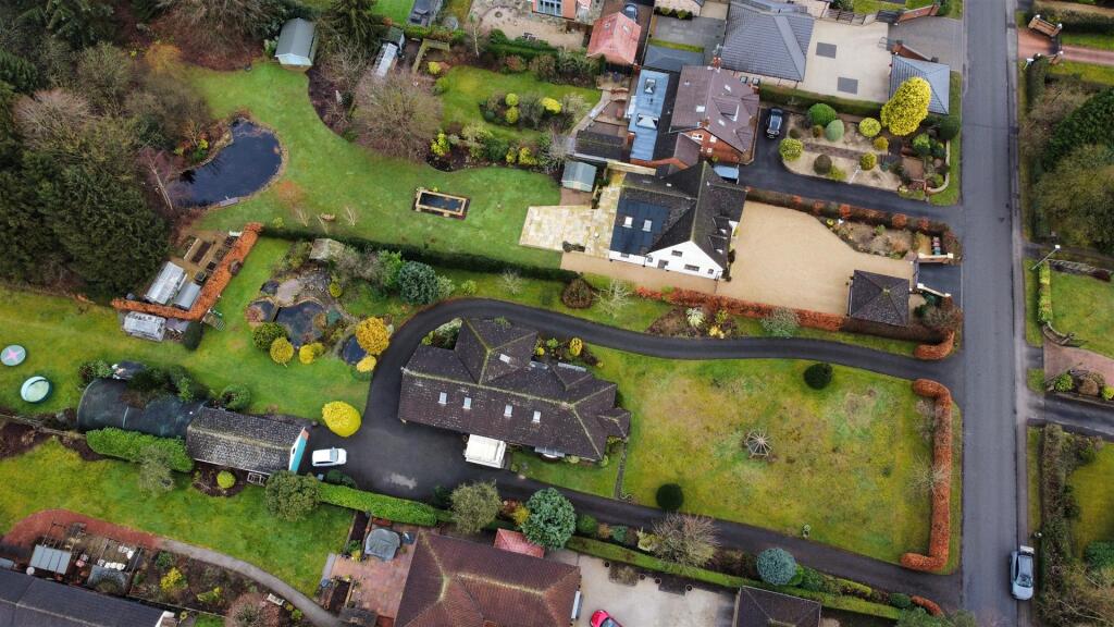 dji_fly_20250131_111010_885_1738322085169_photo_op