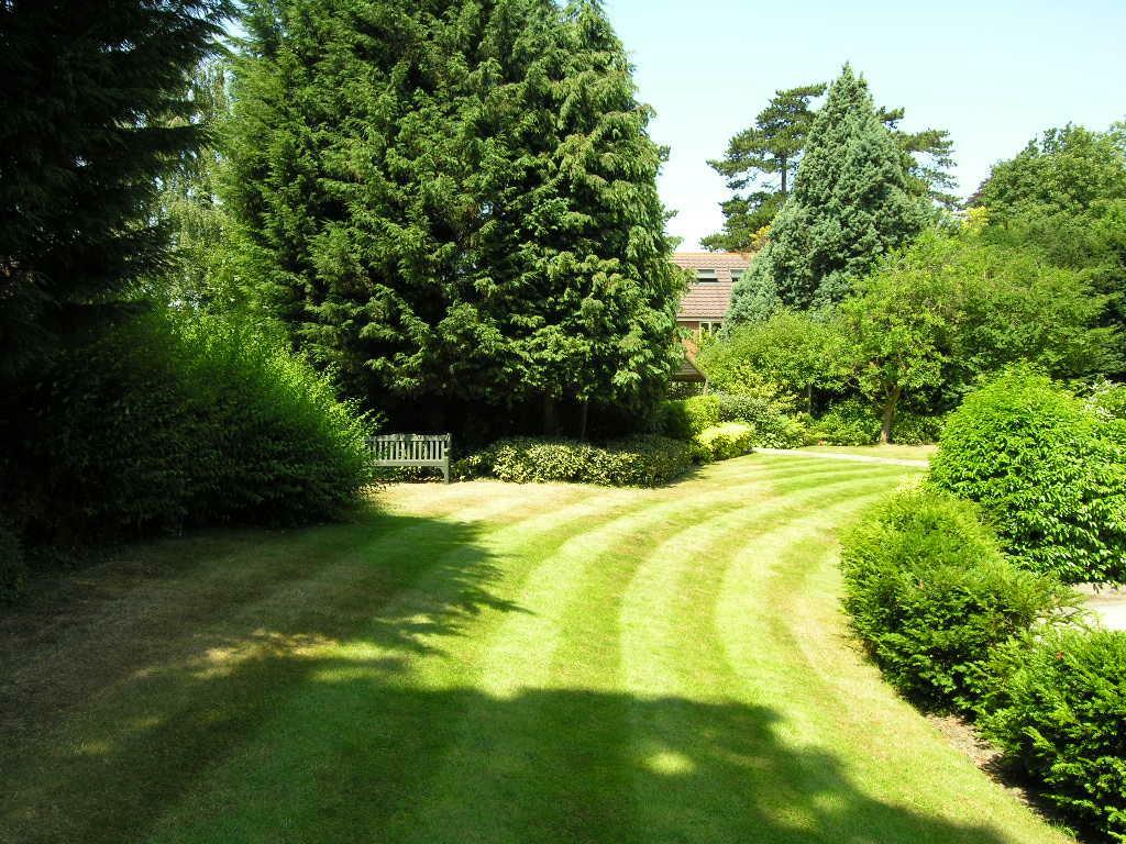 PEGASUS GARDEN 09.JPG