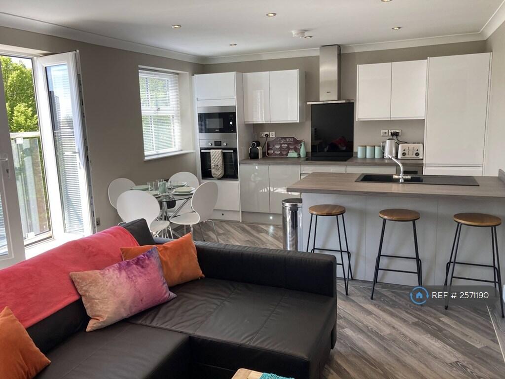 Kitchen / Living Area