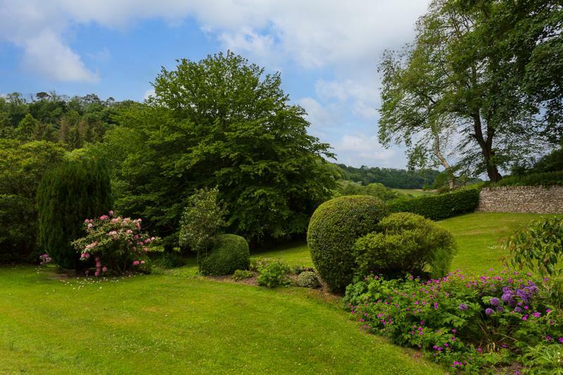 Garden and View