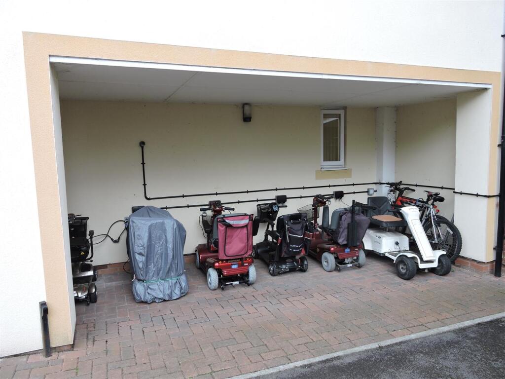 Buggy Store.JPG