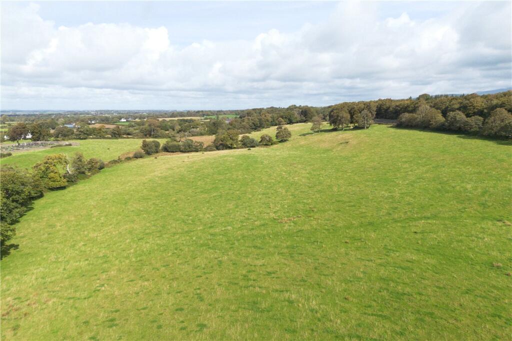 Lot 3