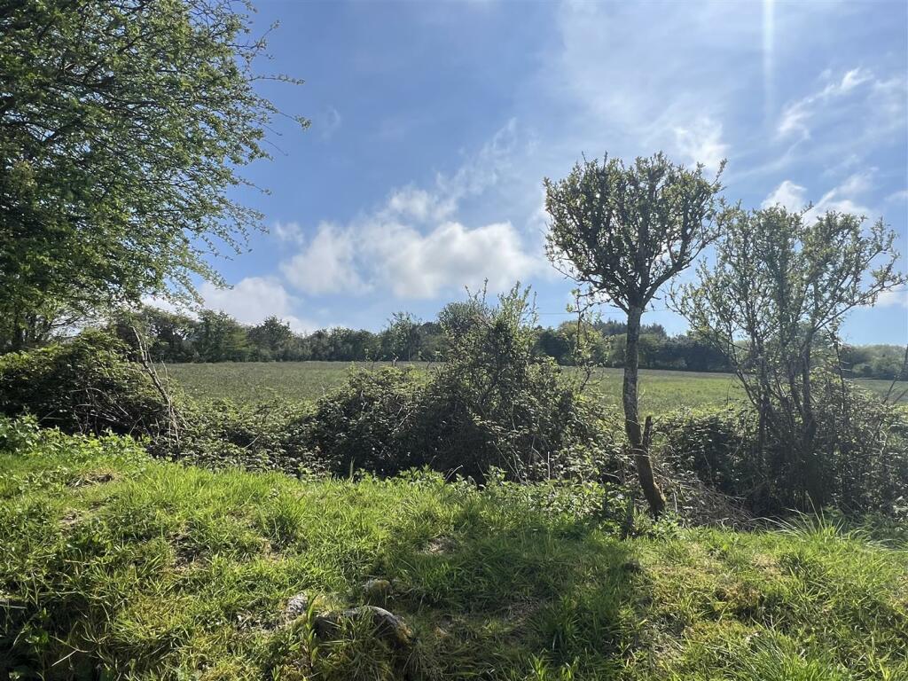 image00009.jpeg