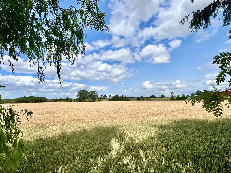 Views over fields to the rear