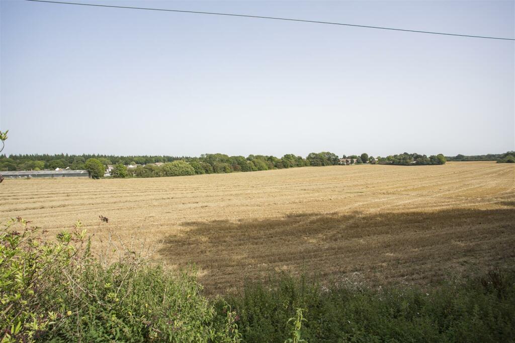 View from Back of Garden