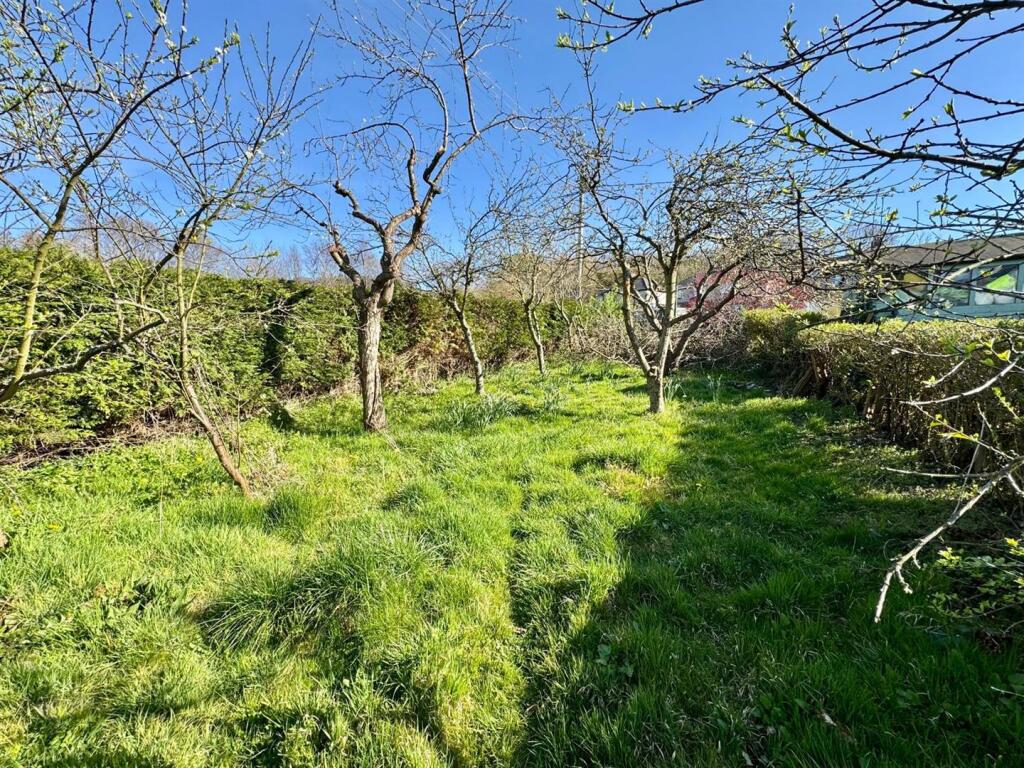 PHOTO-2025-04-12-18-52-48 (18).jpg