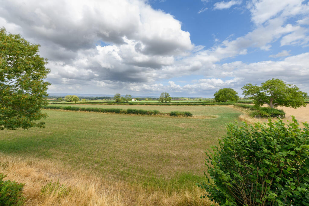 Countryside Views