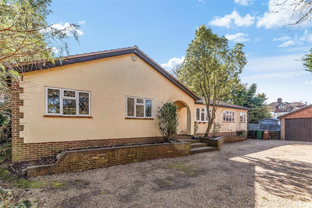 WILMOT WAY, THE SQUIRRELS- (22).jpg