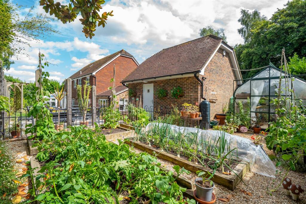 Vegetable Patch..jpg