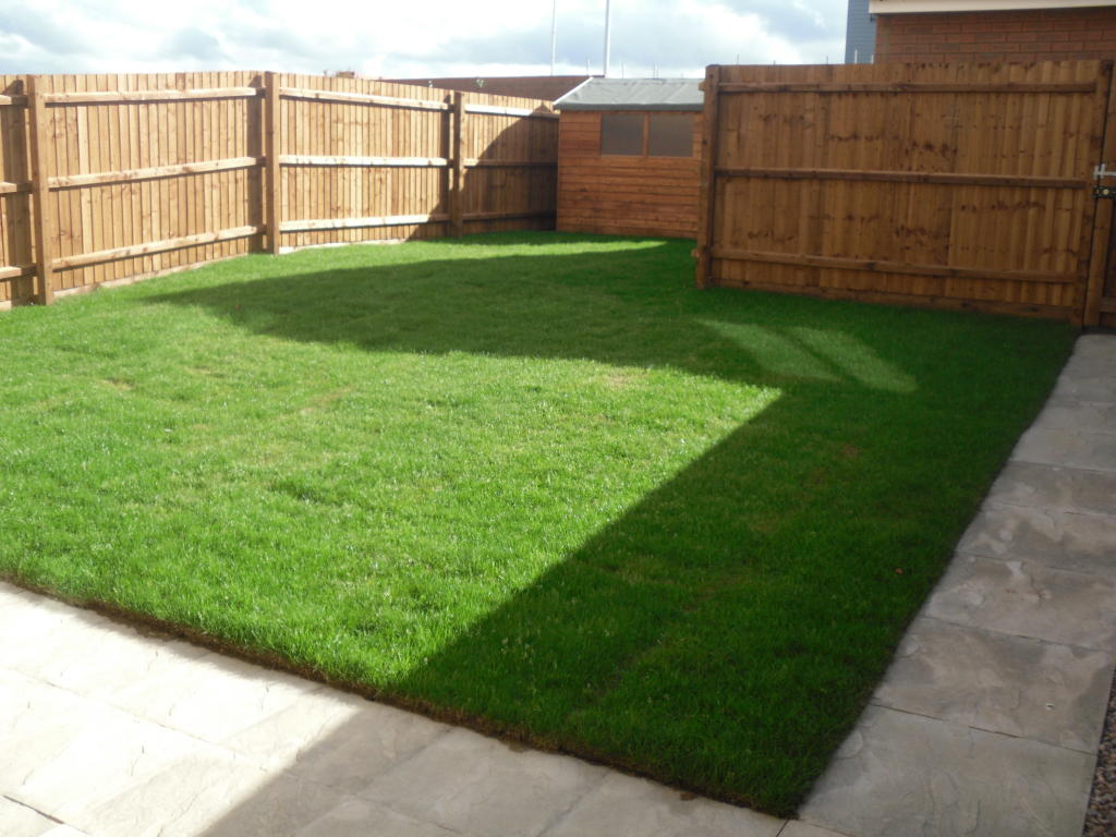 Rear Garden (1)