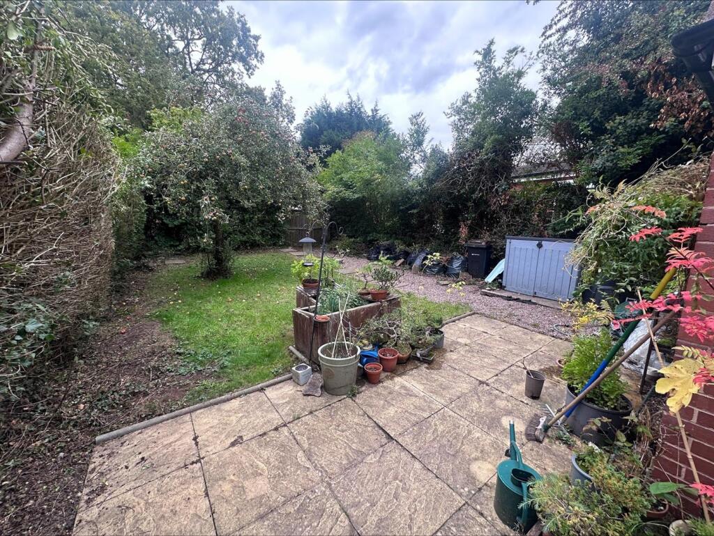 Garden .jpeg